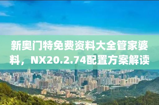 新奥门特免费资料大全管家婆料，NX20.2.74配置方案解读