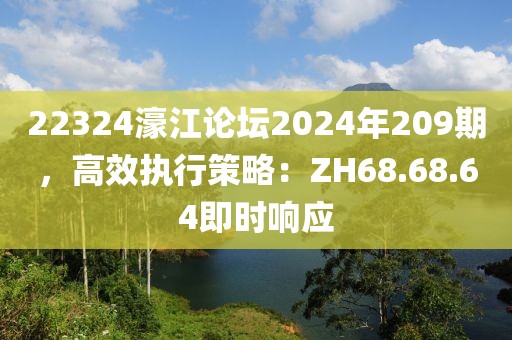 22324濠江论坛2024年209期，高效执行策略：ZH68.68.64即时响应