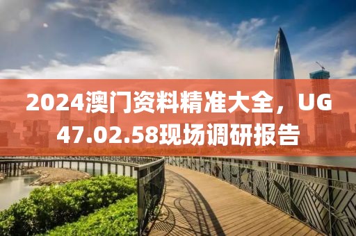 2024澳门资料精准大全，UG47.02.58现场调研报告