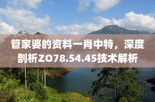 管家婆的资料一肖中特，深度剖析ZO78.54.45技术解析