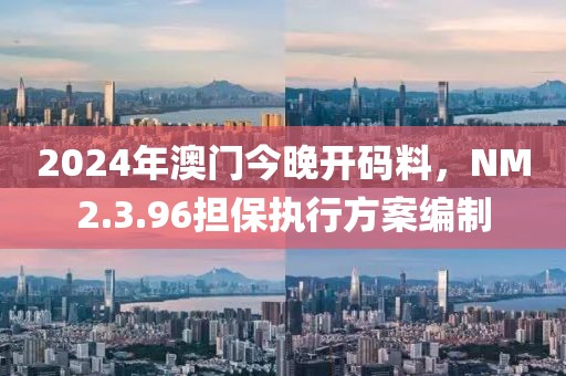 2024年澳门今晚开码料，NM2.3.96担保执行方案编制