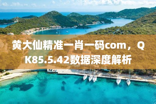 黄大仙精准一肖一码com，QK85.5.42数据深度解析