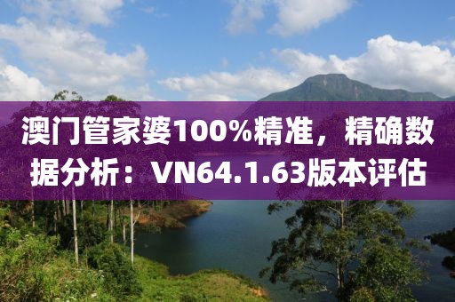 澳门管家婆100%精准，精确数据分析：VN64.1.63版本评估
