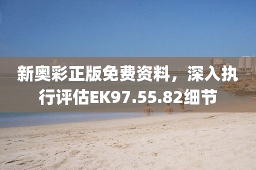 新奥彩正版免费资料，深入执行评估EK97.55.82细节
