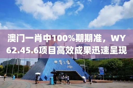 澳门一肖中100%期期准，WY62.45.6项目高效成果迅速呈现