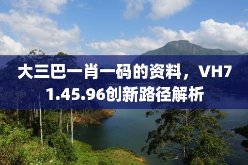 大三巴一肖一码的资料，VH71.45.96创新路径解析