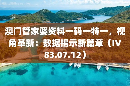澳门管家婆资料一码一特一，视角革新：数据揭示新篇章（IV83.07.12）