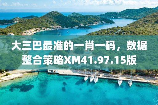 大三巴最准的一肖一码，数据整合策略XM41.97.15版