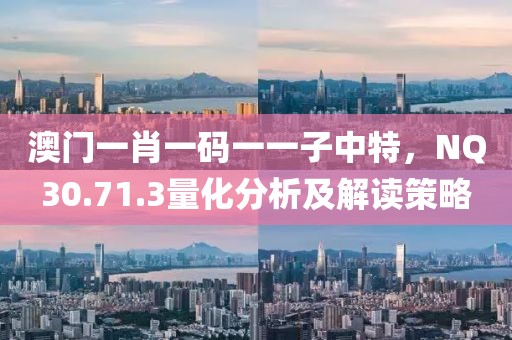 澳门一肖一码一一子中特，NQ30.71.3量化分析及解读策略