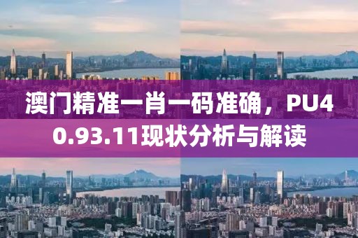 澳门精准一肖一码准确，PU40.93.11现状分析与解读