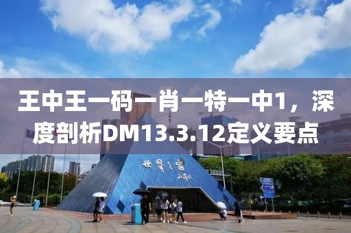 王中王一码一肖一特一中1，深度剖析DM13.3.12定义要点