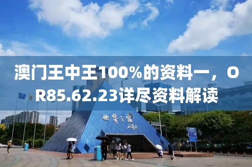 澳门王中王100%的资料一，OR85.62.23详尽资料解读