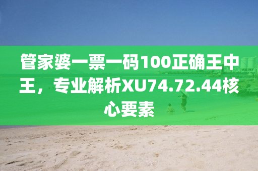 管家婆一票一码100正确王中王，专业解析XU74.72.44核心要素