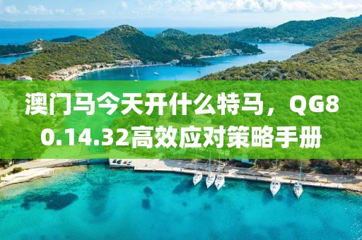 澳门马今天开什么特马，QG80.14.32高效应对策略手册