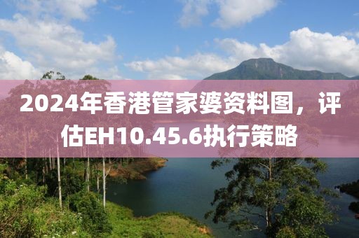 2024年香港管家婆资料图，评估EH10.45.6执行策略