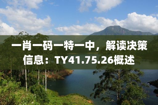 一肖一码一特一中，解读决策信息：TY41.75.26概述