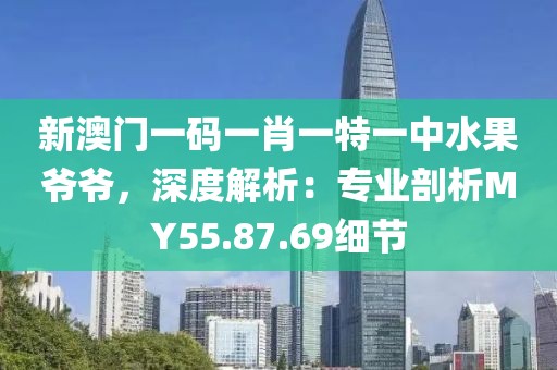 新澳门一码一肖一特一中水果爷爷，深度解析：专业剖析MY55.87.69细节