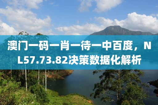 澳门一码一肖一待一中百度，NL57.73.82决策数据化解析