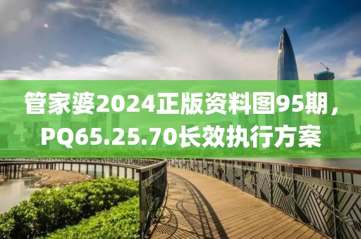 管家婆2024正版资料图95期，PQ65.25.70长效执行方案