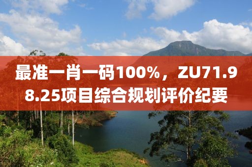 最准一肖一码100%，ZU71.98.25项目综合规划评价纪要