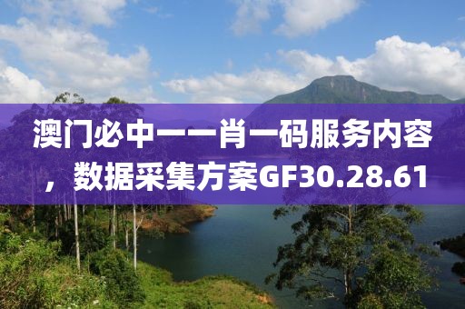 澳门必中一一肖一码服务内容，数据采集方案GF30.28.61