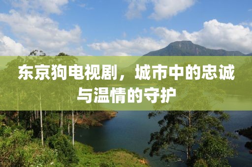 东京狗电视剧，城市中的忠诚与温情的守护
