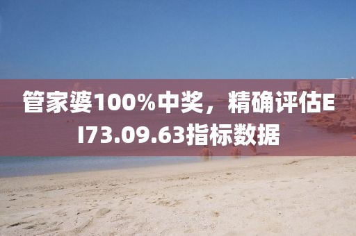 管家婆100%中奖，精确评估EI73.09.63指标数据