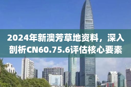 2024年新澳芳草地资料，深入剖析CN60.75.6评估核心要素