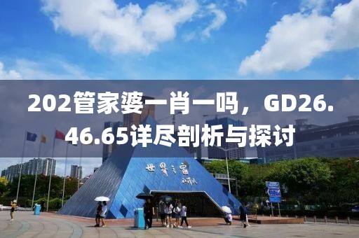 202管家婆一肖一吗，GD26.46.65详尽剖析与探讨