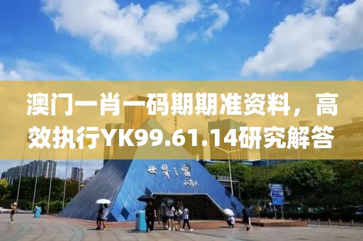 澳门一肖一码期期准资料，高效执行YK99.61.14研究解答