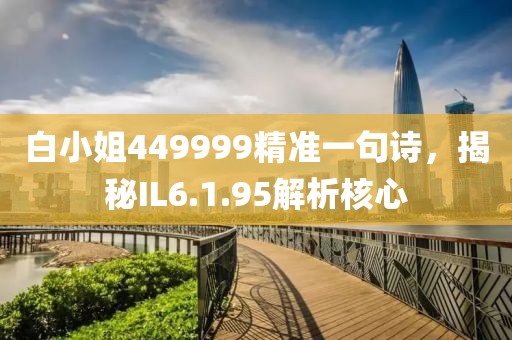 白小姐449999精准一句诗，揭秘IL6.1.95解析核心