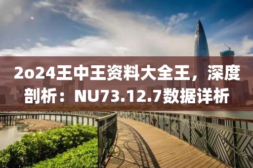 2o24王中王资料大全王，深度剖析：NU73.12.7数据详析
