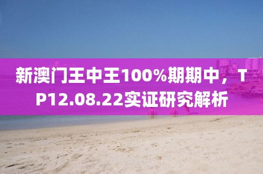 新澳门王中王100%期期中，TP12.08.22实证研究解析