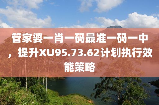 管家婆一肖一码最准一码一中，提升XU95.73.62计划执行效能策略