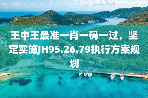 王中王最准一肖一码一过，坚定实施JH95.26.79执行方案规划
