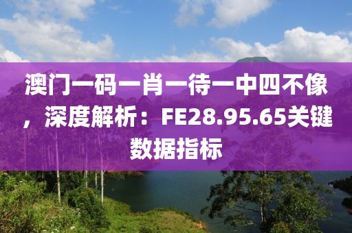澳门一码一肖一待一中四不像，深度解析：FE28.95.65关键数据指标