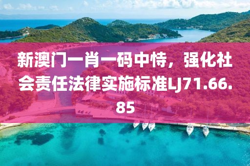 新澳门一肖一码中恃，强化社会责任法律实施标准LJ71.66.85