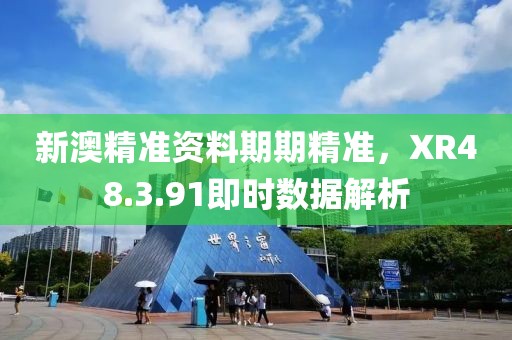 新澳精准资料期期精准，XR48.3.91即时数据解析