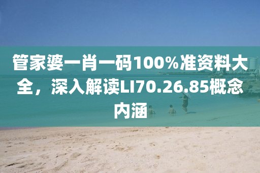 管家婆一肖一码100%准资料大全，深入解读LI70.26.85概念内涵