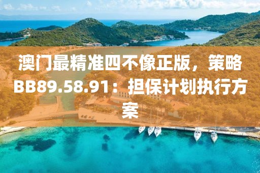 澳门最精准四不像正版，策略BB89.58.91：担保计划执行方案