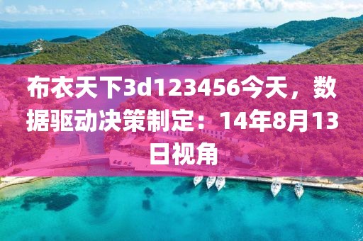 布衣天下3d123456今天，数据驱动决策制定：14年8月13日视角