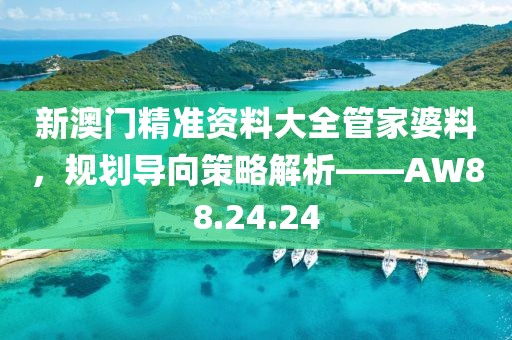 新澳门精准资料大全管家婆料，规划导向策略解析——AW88.24.24