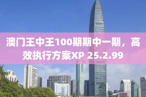 澳门王中王100期期中一期，高效执行方案XP 25.2.99