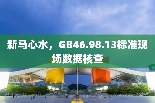 新马心水，GB46.98.13标准现场数据核查