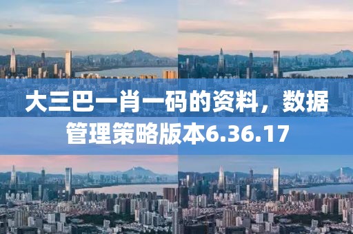 大三巴一肖一码的资料，数据管理策略版本6.36.17