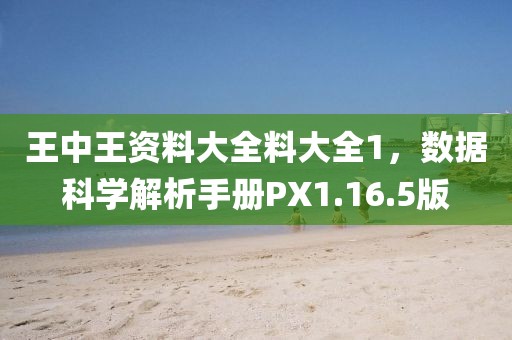 王中王资料大全料大全1，数据科学解析手册PX1.16.5版