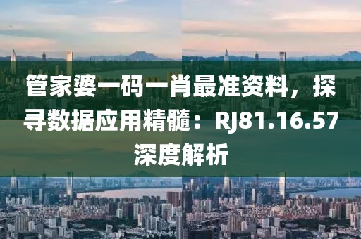管家婆一码一肖最准资料，探寻数据应用精髓：RJ81.16.57深度解析