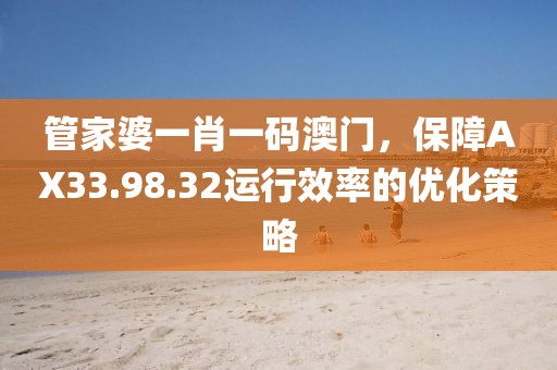 管家婆一肖一码澳门，保障AX33.98.32运行效率的优化策略