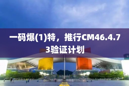一码爆(1)特，推行CM46.4.73验证计划