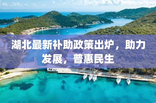 湖北最新补助政策出炉，助力发展，普惠民生